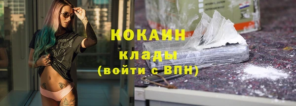амф Дмитров