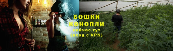 амф Дмитров