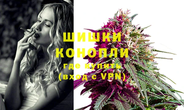 амф Дмитров