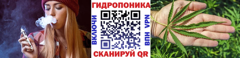 даркнет Telegram  купить наркотики сайты  Няндома  Бошки Шишки SATIVA & INDICA 